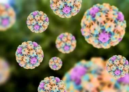 HPV:对男性生育能力和精子健康的主要威胁