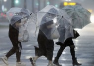 台风给日本带来了暴雨和强风，并缓慢向北移动