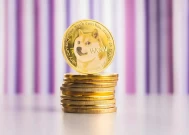 加密货币洞察：Doge价格可能上涨6770%